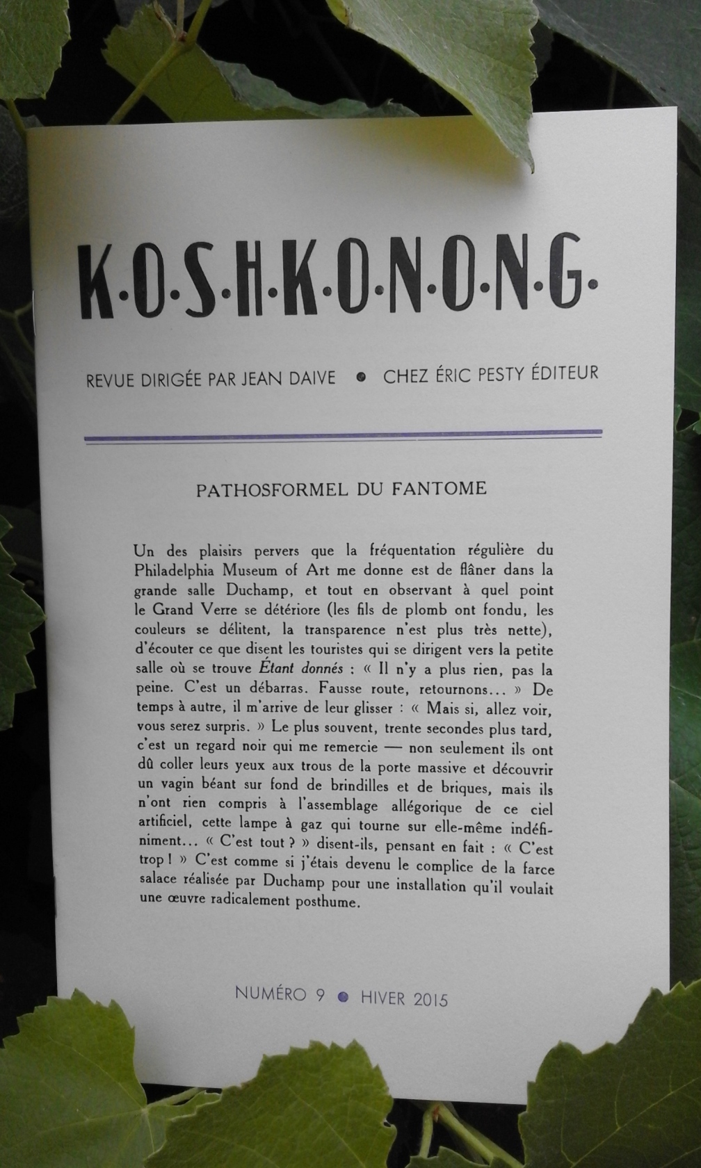 Koshkonong Rabaté